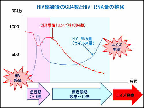 CD4数とHIV　RNA量